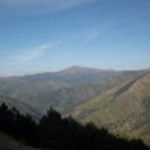 Meet your Posher, Sharissa